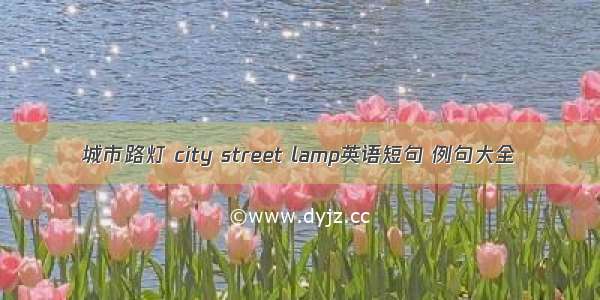 城市路灯 city street lamp英语短句 例句大全