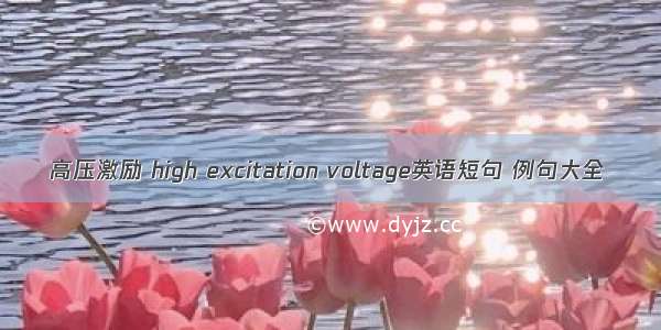 高压激励 high excitation voltage英语短句 例句大全