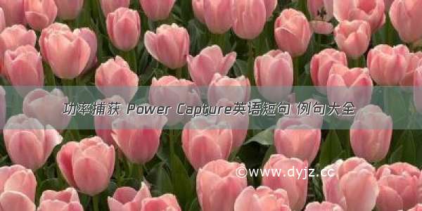 功率捕获 Power Capture英语短句 例句大全