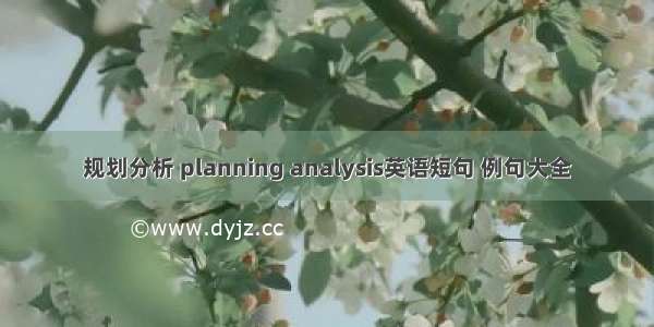 规划分析 planning analysis英语短句 例句大全