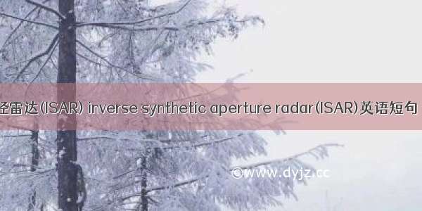 逆合成孔径雷达(ISAR) inverse synthetic aperture radar(ISAR)英语短句 例句大全