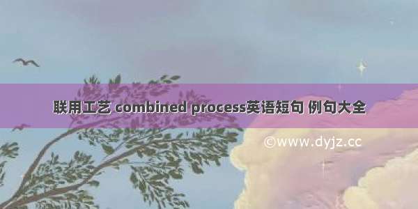 联用工艺 combined process英语短句 例句大全