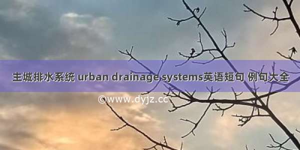 主城排水系统 urban drainage systems英语短句 例句大全