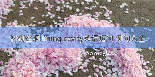 衬砌空洞 lining cavity英语短句 例句大全