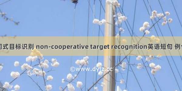 非协同式目标识别 non-cooperative target recognition英语短句 例句大全