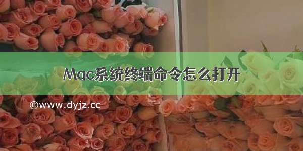 Mac系统终端命令怎么打开