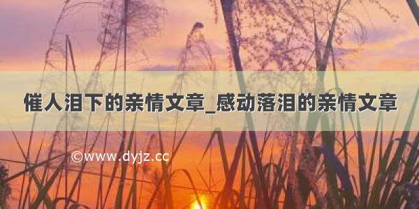 催人泪下的亲情文章_感动落泪的亲情文章