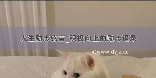 人生励志感言_积极向上的励志语录