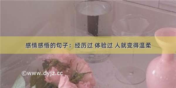 感情感悟的句子：经历过 体验过 人就变得温柔