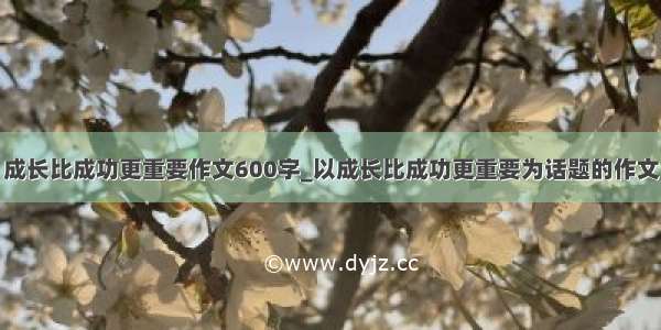 成长比成功更重要作文600字_以成长比成功更重要为话题的作文