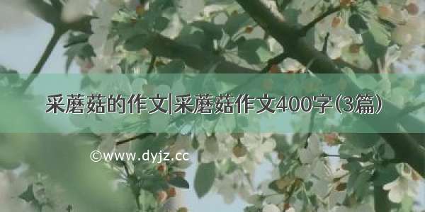 采蘑菇的作文|采蘑菇作文400字(3篇)