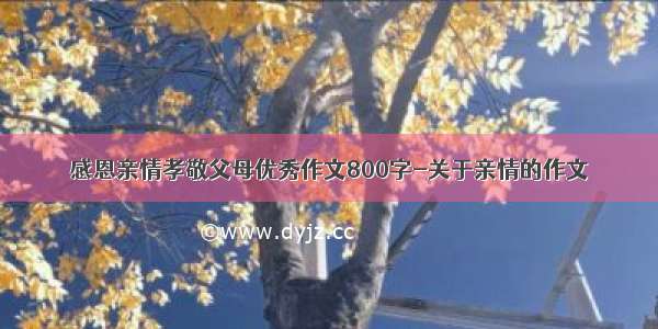 感恩亲情孝敬父母优秀作文800字-关于亲情的作文