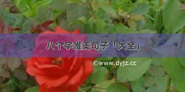 八个字唯美句子「大全」