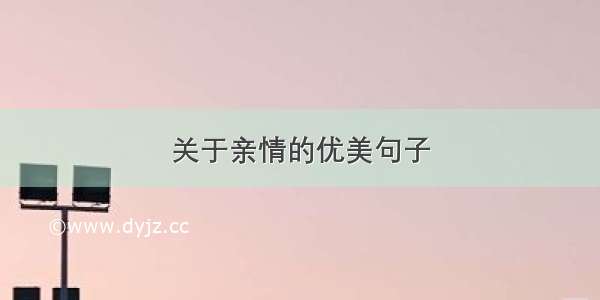 关于亲情的优美句子