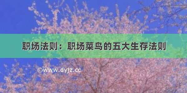 职场法则：职场菜鸟的五大生存法则