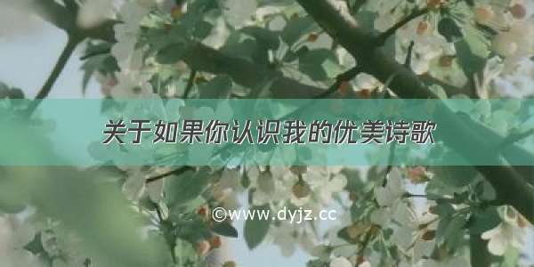 关于如果你认识我的优美诗歌