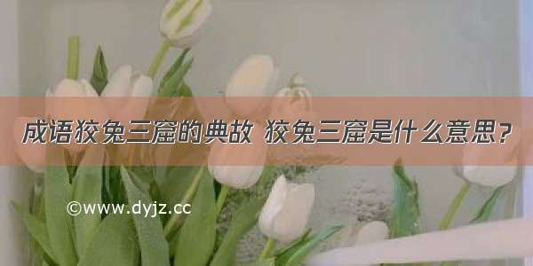 成语狡兔三窟的典故 狡兔三窟是什么意思？