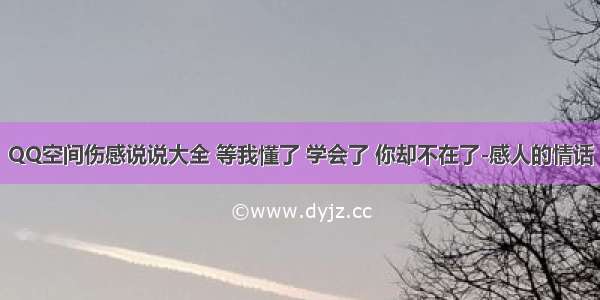 QQ空间伤感说说大全 等我懂了 学会了 你却不在了-感人的情话