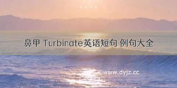 鼻甲 Turbinate英语短句 例句大全