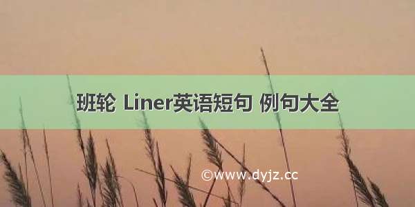 班轮 Liner英语短句 例句大全