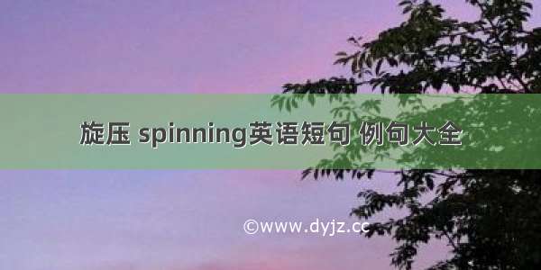 旋压 spinning英语短句 例句大全