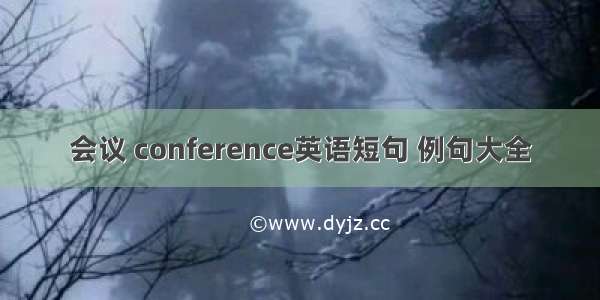 会议 conference英语短句 例句大全