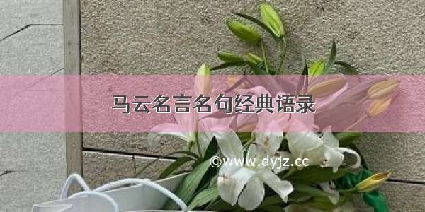 马云名言名句经典语录