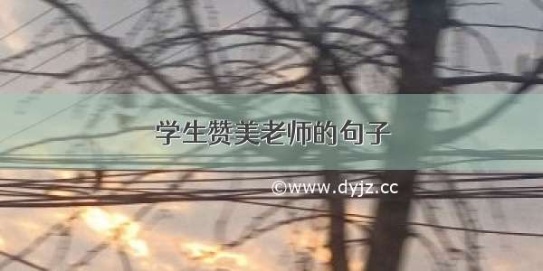 学生赞美老师的句子