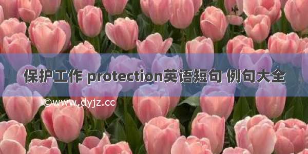 保护工作 protection英语短句 例句大全