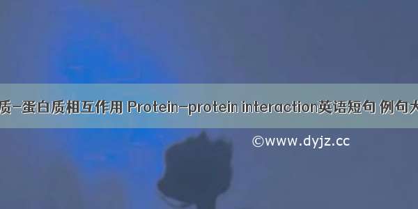 蛋白质-蛋白质相互作用 Protein-protein interaction英语短句 例句大全