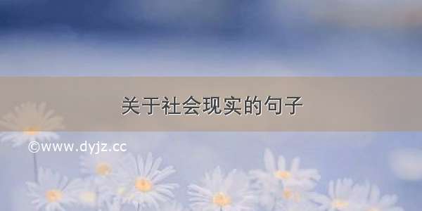 关于社会现实的句子