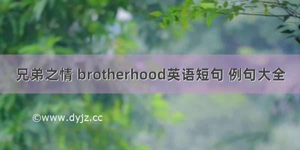 兄弟之情 brotherhood英语短句 例句大全