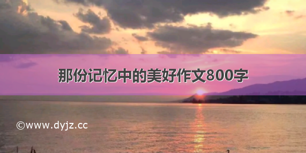 那份记忆中的美好作文800字