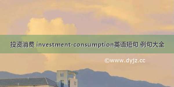 投资消费 investment-consumption英语短句 例句大全