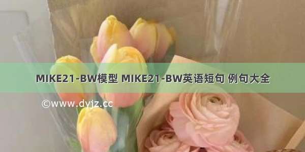 MIKE21-BW模型 MIKE21-BW英语短句 例句大全