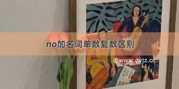 no加名词单数复数区别