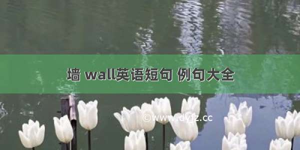 墙 wall英语短句 例句大全