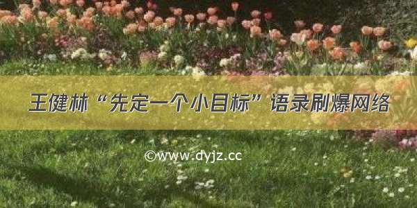 王健林“先定一个小目标”语录刷爆网络