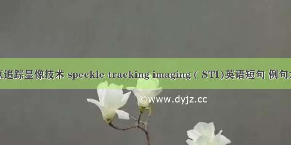 斑点追踪显像技术 speckle tracking imaging ( STI)英语短句 例句大全