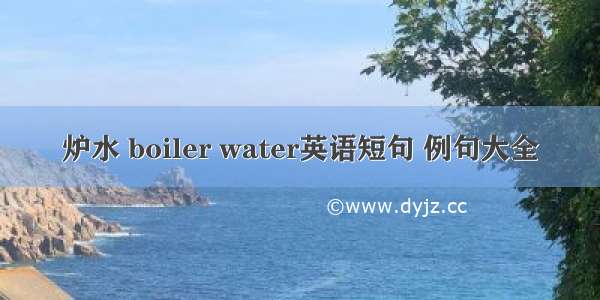 炉水 boiler water英语短句 例句大全