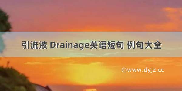 引流液 Drainage英语短句 例句大全