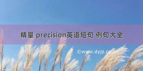 精量 precision英语短句 例句大全