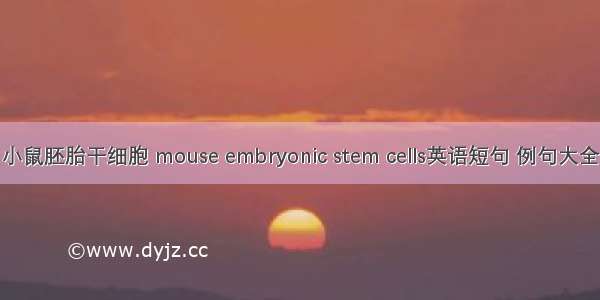 小鼠胚胎干细胞 mouse embryonic stem cells英语短句 例句大全