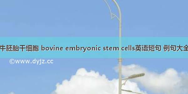 牛胚胎干细胞 bovine embryonic stem cells英语短句 例句大全
