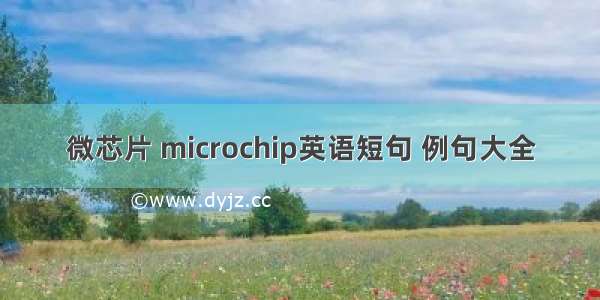 微芯片 microchip英语短句 例句大全