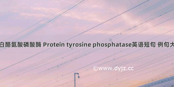 蛋白酪氨酸磷酸酶 Protein tyrosine phosphatase英语短句 例句大全