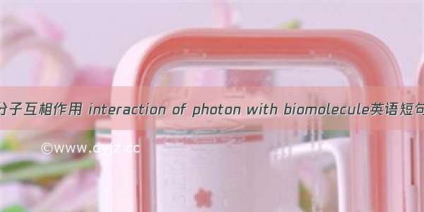 光子与生物分子互相作用 interaction of photon with biomolecule英语短句 例句大全