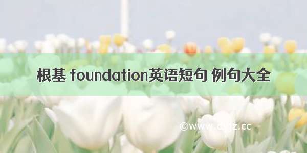 根基 foundation英语短句 例句大全