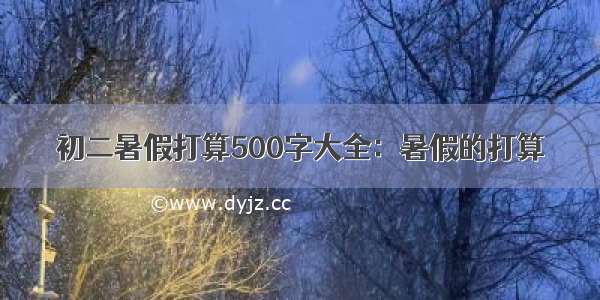 初二暑假打算500字大全：暑假的打算