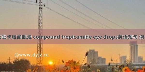 复方托吡卡胺滴眼液 compound tropicamide eye drops英语短句 例句大全